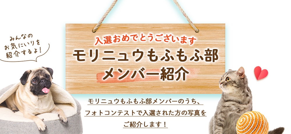 モリニュウもふもふ部お気に入りを教えて！フォトコンテスト Instagram写真投稿キャンペーン第２弾