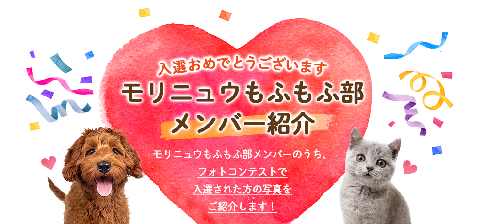 入選おめでとうございます。モリニュウもふもふ部メンバー紹介　モリニュウもふもふ部メンバーのうち、フォトコンテストで入選された方の写真をご紹介します！