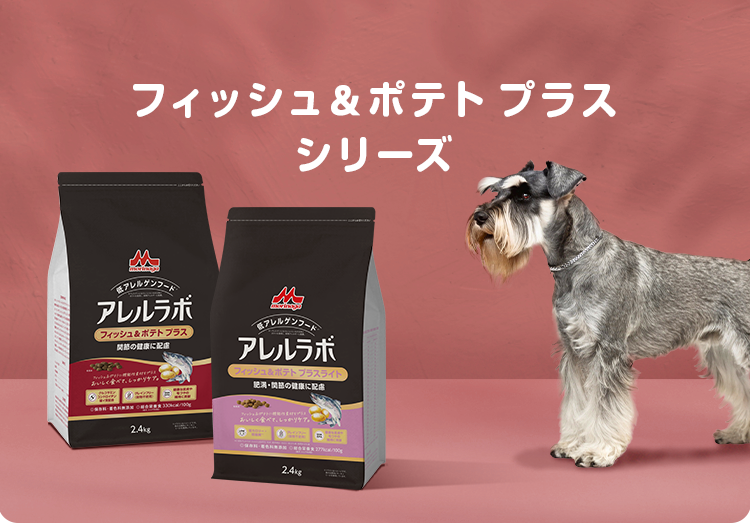 フィッシュ＆ポテト プラス シリーズ