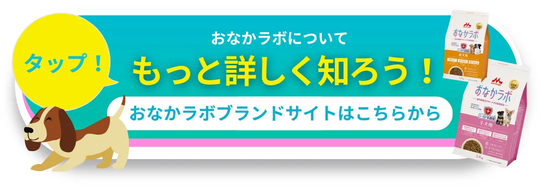 もっと詳しく知ろう！おなかラボブランドサイトはこちらから