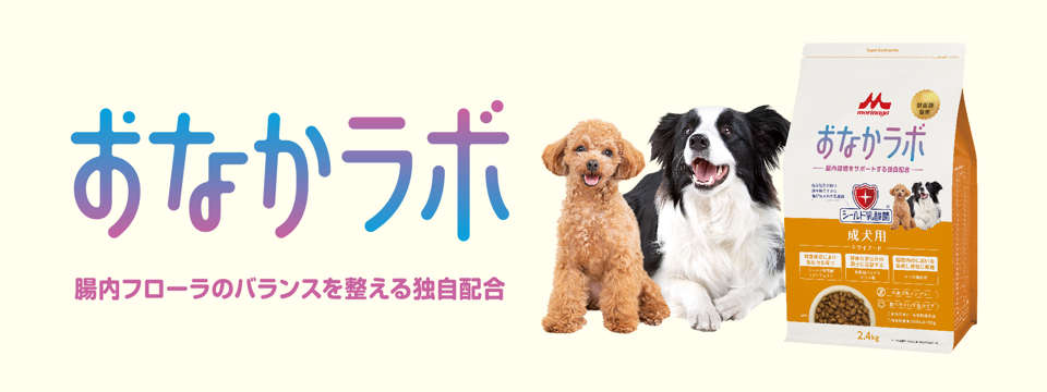 おなかラボ