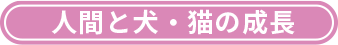 人間と犬・猫の成長