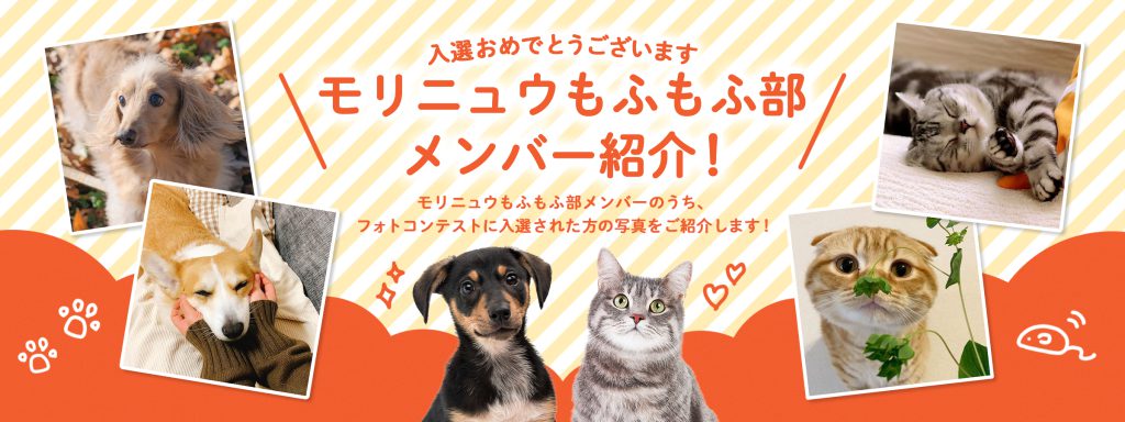 モリニュウもふもふ部メンバー紹介