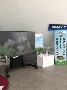 みなと科学館３
