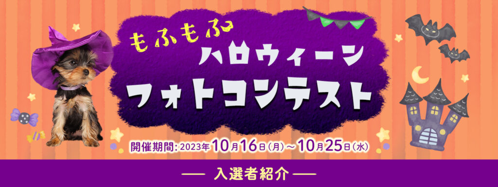 もふもふハロウィーンフォトコンテスト