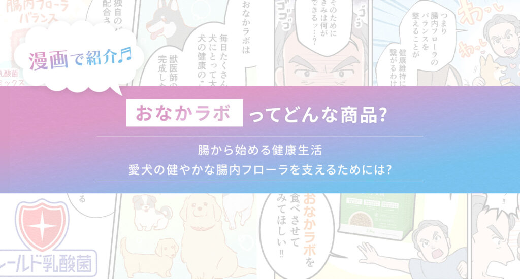 漫画で紹介「おなかラボ」ってどんな商品？