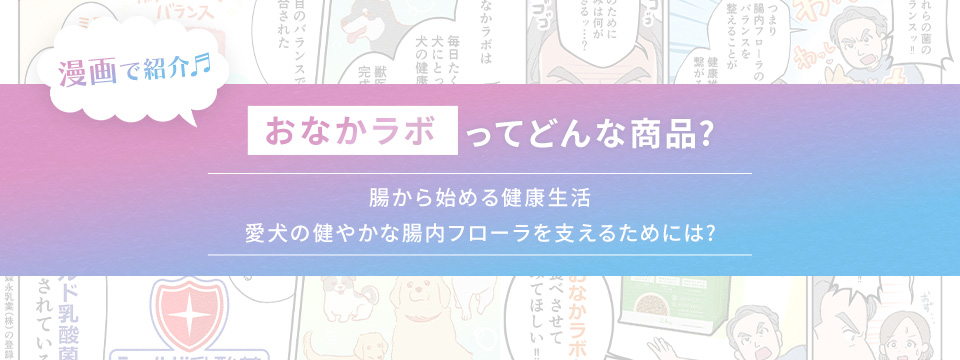 漫画で紹介「おなかラボ」ってどんな商品？